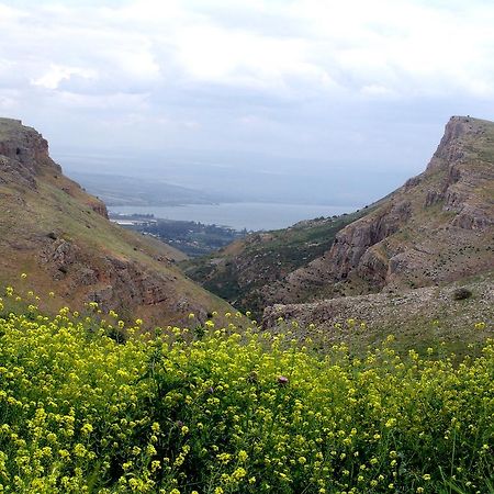 Arbel Holiday Homes Ngoại thất bức ảnh