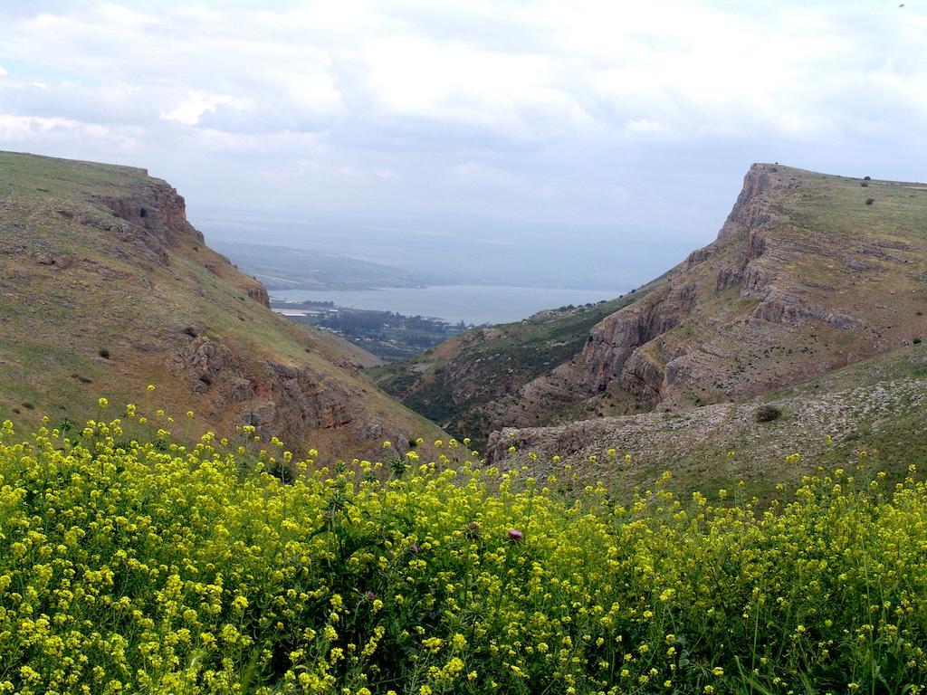 Arbel Holiday Homes Ngoại thất bức ảnh